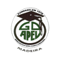 Grupo Desportivo Apel