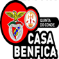 Casa Benfica Quinta Conde