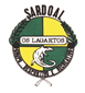 Gdr Sardoal Os Lagartos (S13 Fem)