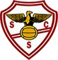 S.C. Salgueiros - Futebol, Sad