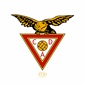 Clube Desportivo Das Aves 1930