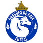 Dragões De Gaia Futsal Acd