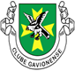 C F Os Gavionenses 'Sub-12'