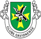 Cf Os Gavionenses