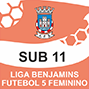 LIGA BENJAMINS SUB 11 F5 FEM 