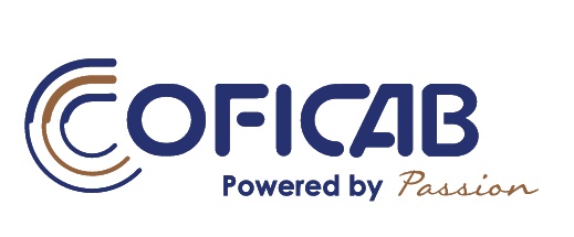 TAÇA  SENIORES FUTSAL MASCULINOS COFICAB