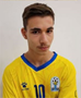 Imagem do jogador