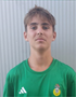Imagem do jogador