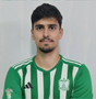 Imagem do jogador