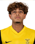 Imagem do jogador