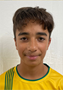 Imagem do jogador