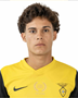Imagem do jogador