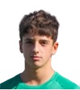 Imagem do jogador
