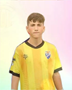 Imagem do jogador