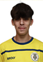 Imagem do jogador