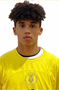 Imagem do jogador