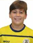 Imagem do jogador