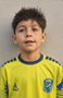Imagem do jogador