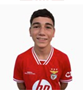 Imagem do jogador