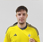Imagem do jogador