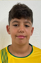 Imagem do jogador