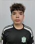 Imagem do jogador