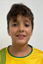 Imagem do jogador