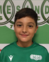 Imagem do jogador