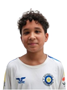 Imagem do jogador