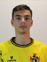 Imagem do jogador