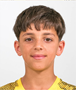 Imagem do jogador