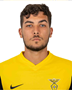 Imagem do jogador