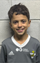 Imagem do jogador