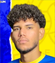 Imagem do jogador