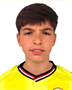 Imagem do jogador