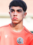Imagem do jogador